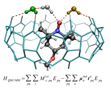 Snapshot of spin-label encapsulated in CB[8] host